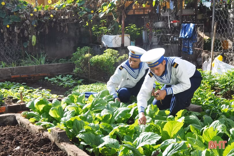 Sơn Ca - hòn ngọc xanh của Trường Sa