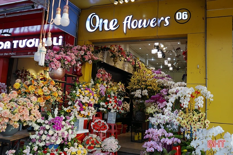 Nữ hoàng của các loài lan “lên ngôi” đón tết Canh Tý