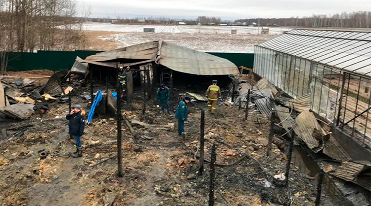 Cháy nhà kính Nga, 8 người Việt có thể thiệt mạng