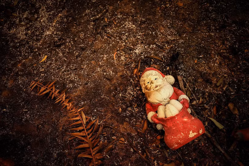 Hình ảnh tàn khốc về thảm họa cháy rừng ở Australia