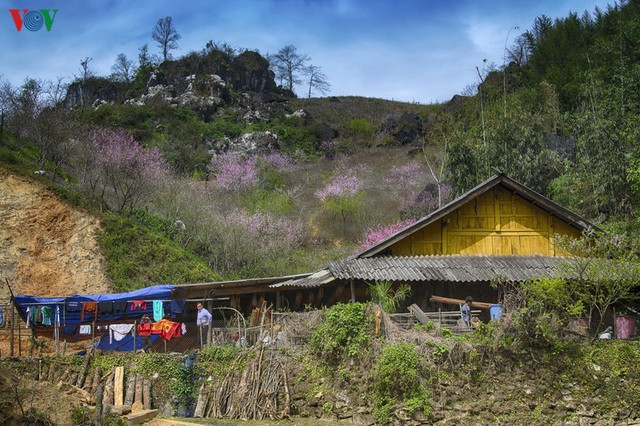 Sa Pa đẹp ngất ngây khi mùa xuân về - 5 Sa Pa đẹp ngất ngây khi mùa xuân về