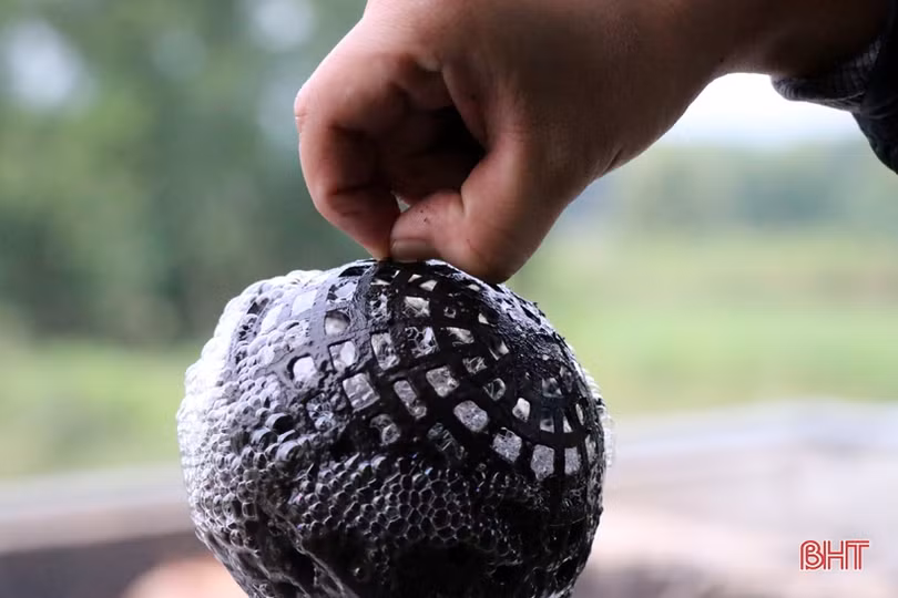 Chàng kỹ sư và anh nông dân trẻ Hà Tĩnh bắt tay xử lý nước thải chăn nuôi