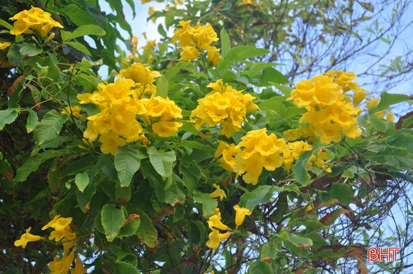 Bình yên xã đảo Song Tử Tây qua ống kính PV Báo Hà Tĩnh