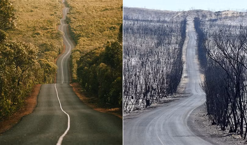 Cảnh đối lập trước và sau thảm họa cháy rừng ở Australia