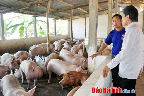 Mũi nhọn kinh tế vùng trà sơn ảnh 1