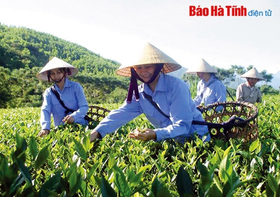 Đổi thay trên những cung đường lịch sử ảnh 3