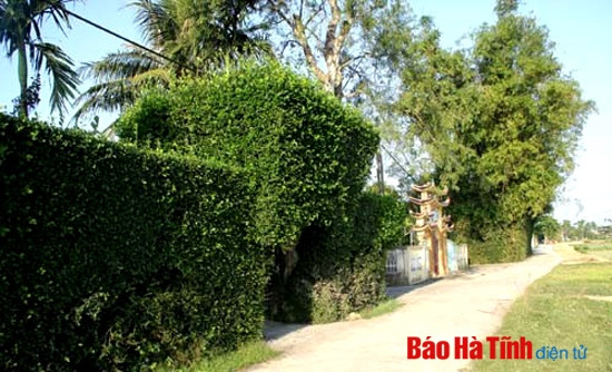 Một góc làng Tùng Ảnh Một góc làng Tùng Ảnh