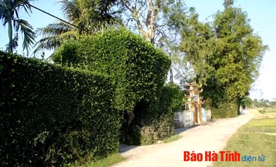 Một góc làng Tùng Ảnh