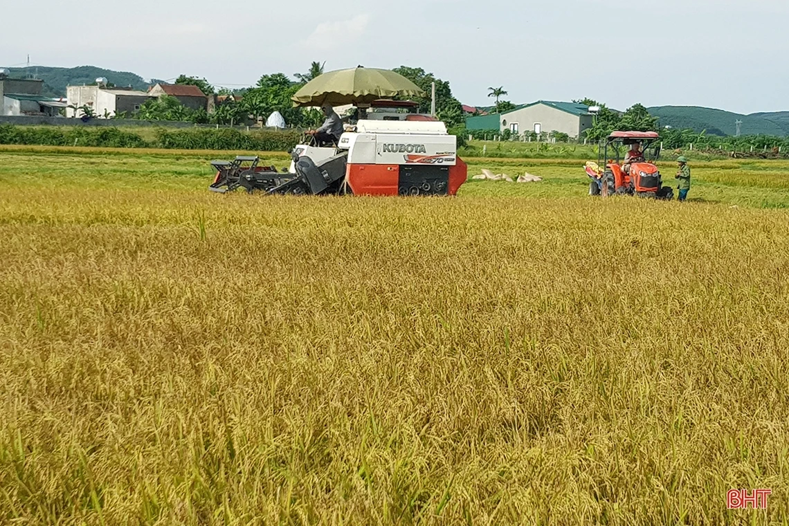 Hà Tĩnh quyết liệt hành động, phấn đấu tăng trưởng cao hơn bình quân cả nước