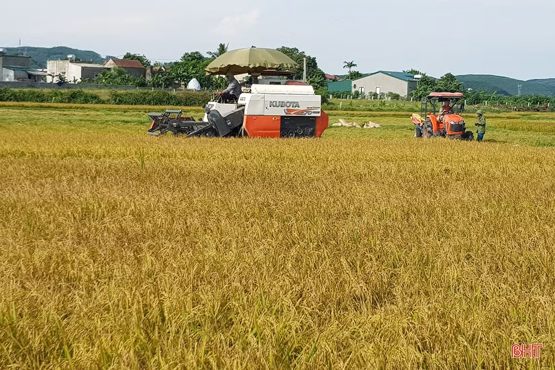 Hà Tĩnh quyết liệt hành động, phấn đấu tăng trưởng cao hơn bình quân cả nước