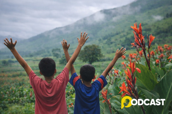 Podcast tản văn: Một khóm dong riềng