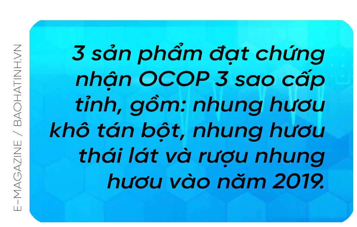 Chuyện “Nông dân Việt Nam xuất sắc” làm giàu từ hươu sao ở Hà Tĩnh
