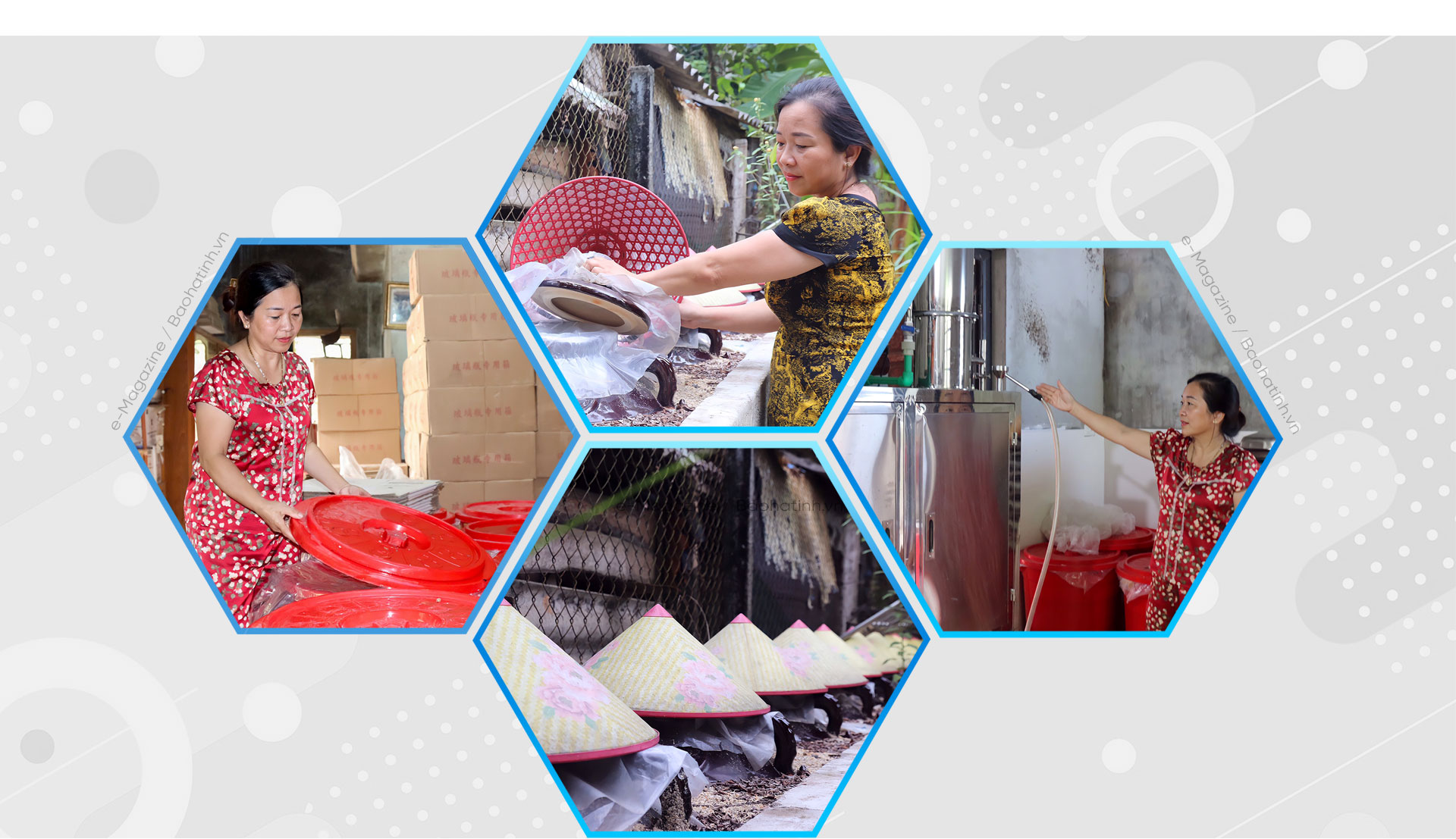 Chuyện “Nông dân Việt Nam xuất sắc” làm giàu từ hươu sao ở Hà Tĩnh