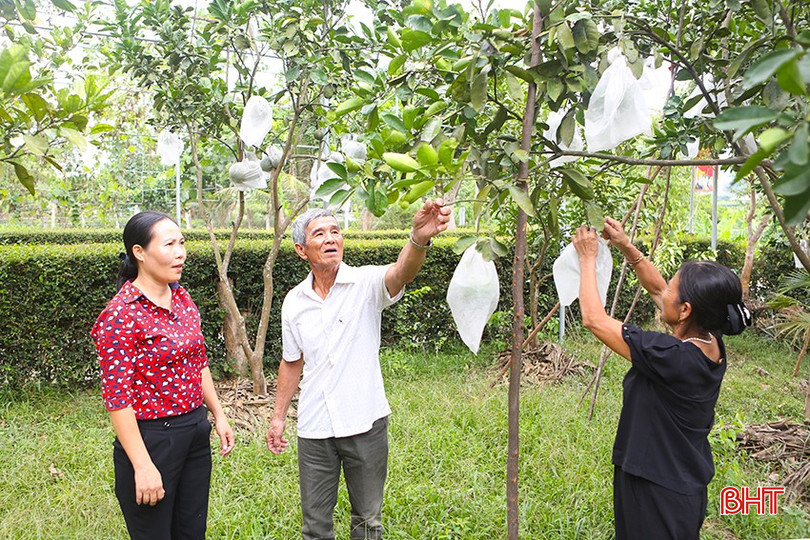 Vợ chồng ông Nguyễn Xuân Đường và bà Đoàn Thị Hoa trao đổi với Chủ tịch Hội LHPN xã Kỳ Lạc (ngoài cùng bên trái) về xây dựng vườn mẫu. a2.jpg