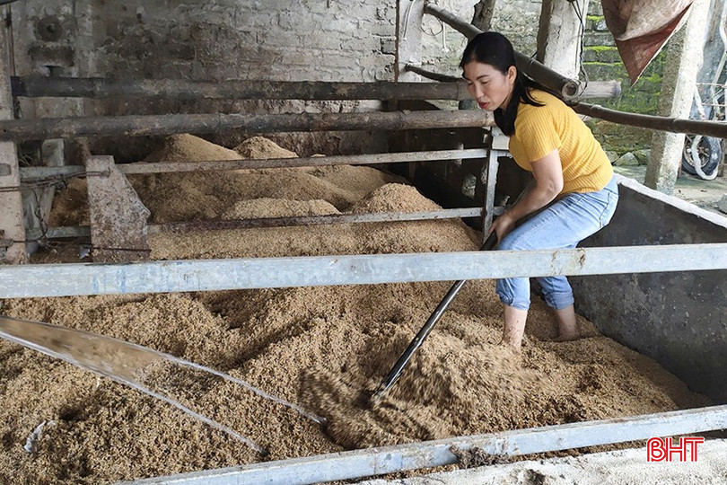 Nhờ thực hiện tốt cuộc vận động xây dựng gia đình" 5 không, 3 sạch" đã tạo điều kiện thuận lợi cho xã Mai Phụ hoàn thành tiêu chí môi trường. Trong ảnh: Hộ gia đình sử dụng đệm lót sinh học đảm bảo môi trường trong chăn nuôi. a5.jpg