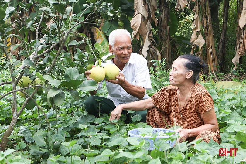 Không chỉ đi đầu đứng trước gánh vác công tác xã hội, ông Võ Văn Bảy và vợ là bà Đặng Thị Hường còn xây dựng gia đình hạnh phúc, nuôi dạy con cái thành đạt. a6.jpg