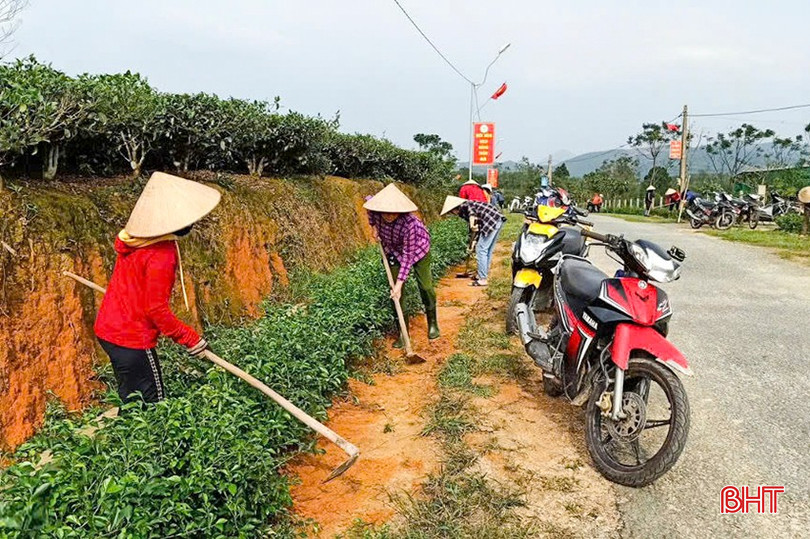 Phụ nữ xã Kỳ Trung (huyện Kỳ Anh) ra quân xây dựng hàng rào xanh NTM. a7.jpg