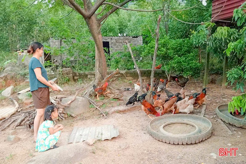 Nhờ mô hình sinh kế gà giống trị giá 5 triệu đồng do các cấp hội phụ nữ hỗ trợ, chị Nguyễn Thị Hóa ( ở xã Kỳ Xuân, huyện Kỳ Anh) đã vươn lên thoát nghèo. a3-8014.jpg