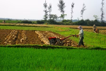 Nhờ kết quả chỉnh trang quy mô thôn xóm, Thạch Văn sôi nổi thi đua lao động sản xuất trên cánh đồng mẫu 2 lúa.