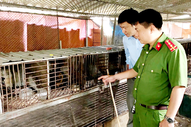 Xử lý 15 vụ, 14 đối tượng vi phạm pháp luật về môi trường, ATVSTP