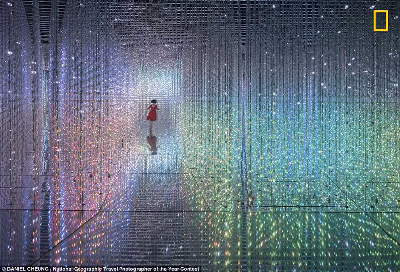 Ngắm những bức ảnh tuyệt đẹp của cuộc thi ảnh Nat Geo