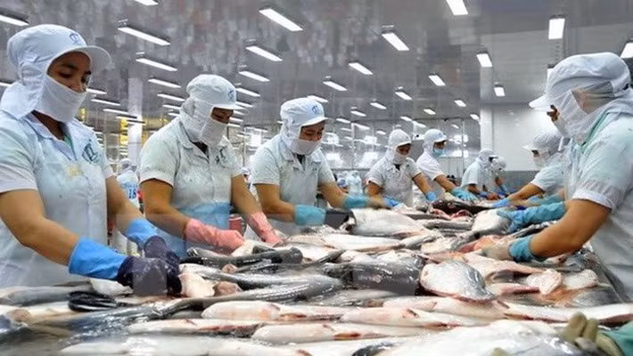 Trung Quốc sắp trở thành nhà nhập khẩu thuỷ sản lớn nhất của Việt Nam?