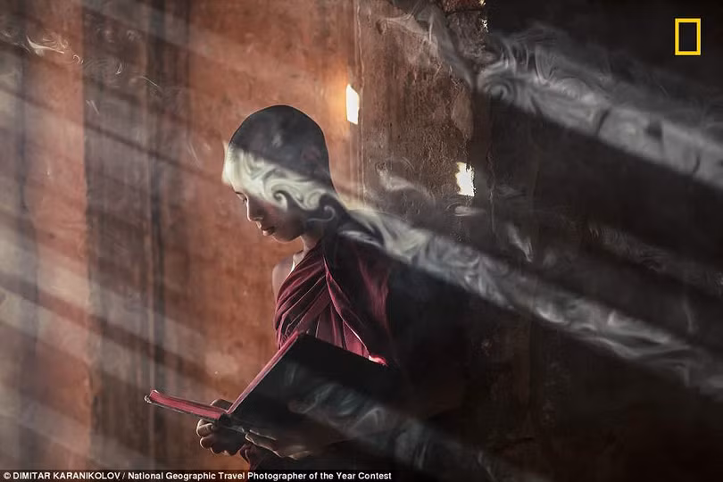 Ngắm những bức ảnh tuyệt đẹp của cuộc thi ảnh Nat Geo