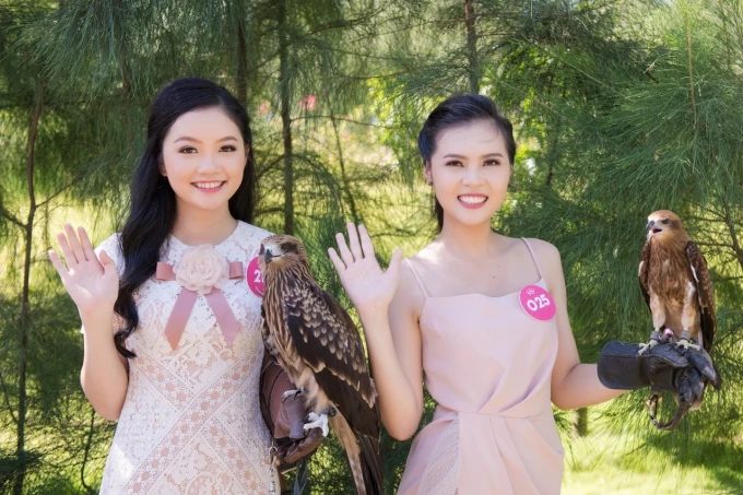 Người đẹp Hoa hậu Việt Nam diện bikini khoe dáng