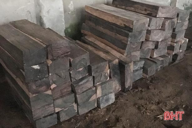 Xử lý 15 vụ, 14 đối tượng vi phạm pháp luật về môi trường, ATVSTP