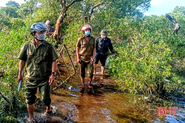 Tiêu hủy 300 con chim mồi giả, thả 20 con chim mồi sống ở Kỳ Phú