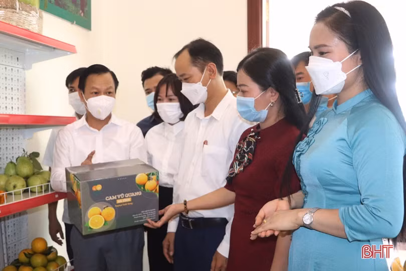 Khai trương cửa hàng sản phẩm OCOP huyện Vũ Quang