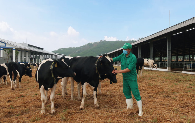 Vinamilk tiếp tục là thương hiệu tuyển dụng hấp dẫn nhất, dẫn đầu bảng xếp hạng “hot” của ngành FMCG