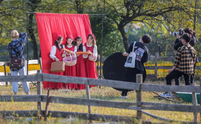 Thướt tha tà áo dài bên cúc hoạ mi đầu mùa