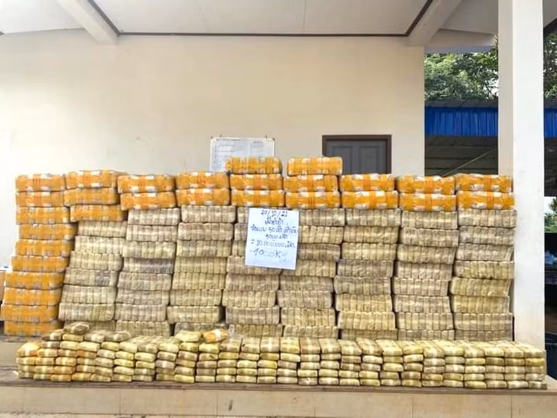 Phát hiện 8 rẫy trồng cần sa rộng 4,2 ha tại tỉnh của Lào giáp Hà Tĩnh