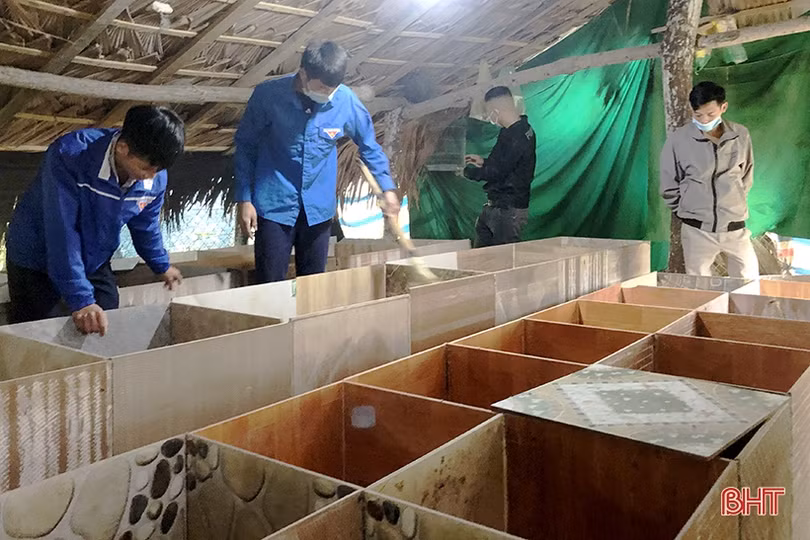 Từ 5 triệu khởi nghiệp nuôi dúi, 9X Hà Tĩnh “bỏ túi” hàng trăm triệu/năm