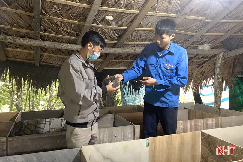 Từ 5 triệu khởi nghiệp nuôi dúi, 9X Hà Tĩnh “bỏ túi” hàng trăm triệu/năm