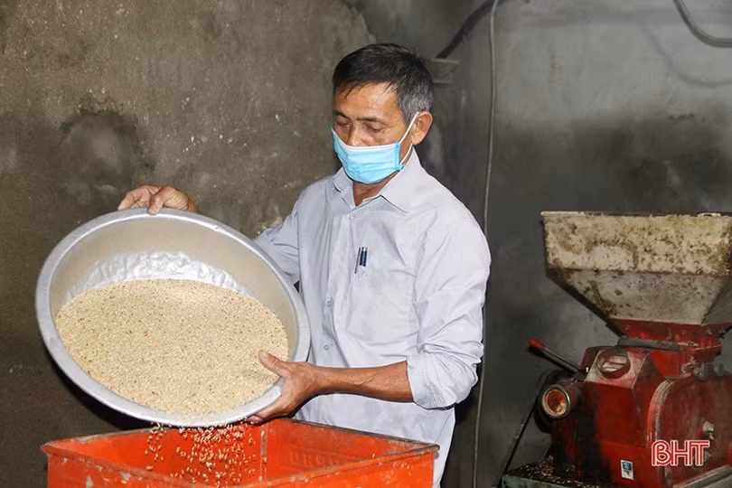 Quần chúng ưu tú 59 tuổi ở TX Kỳ Anh tự hào được kết nạp vào Đảng