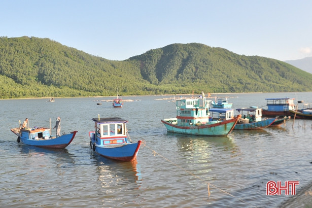 Hà Tĩnh đặt mục tiêu khai thác 18.800 tấn hải sản vụ cá Bắc