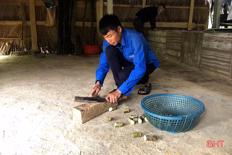 Từ 5 triệu khởi nghiệp nuôi dúi, 9X Hà Tĩnh “bỏ túi” hàng trăm triệu/năm