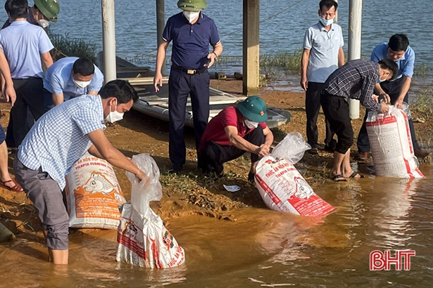 Thả hơn 2 tấn cá giống tái tạo nguồn lợi thủy sản ở hồ Sông Rác