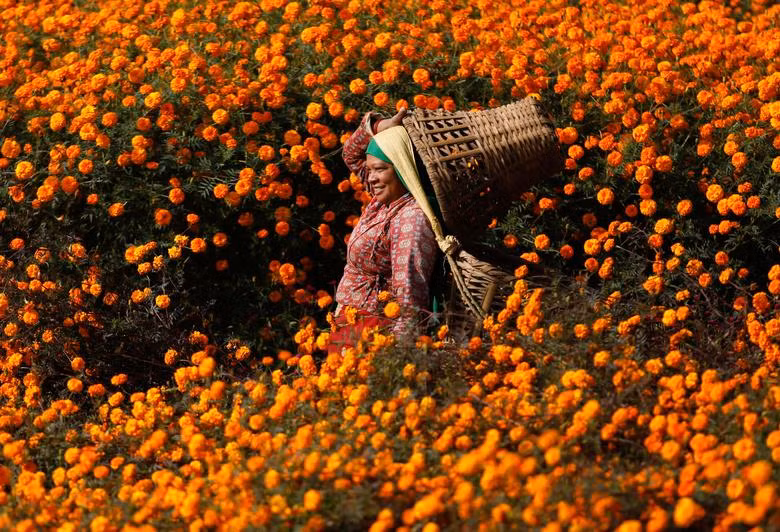 Người Hindu trên khắp thế giới đón mừng lễ hội ánh sáng