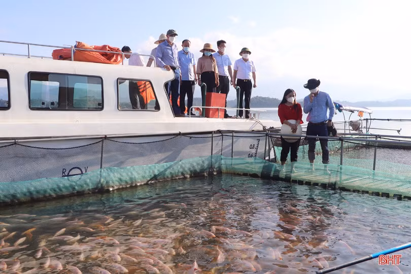 Vũ Quang hội tụ nhiều tiềm năng để phát triển du lịch sinh thái, trải nghiệm