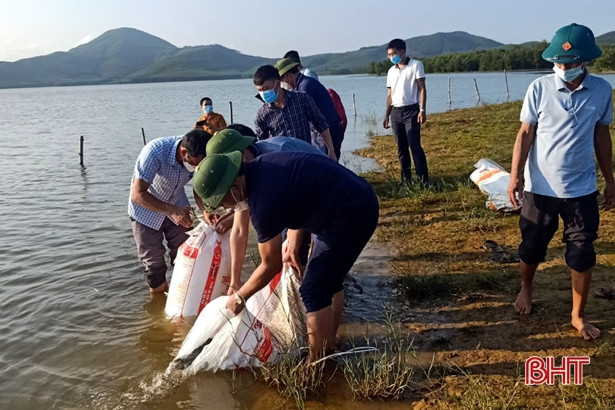 Thả hơn 2 tấn cá giống tái tạo nguồn lợi thủy sản ở hồ Sông Rác