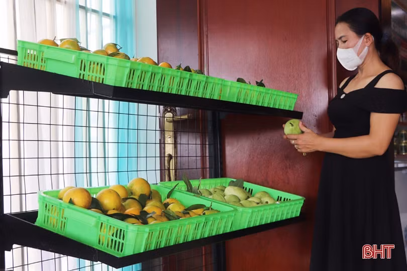 Khai trương cửa hàng sản phẩm OCOP huyện Vũ Quang