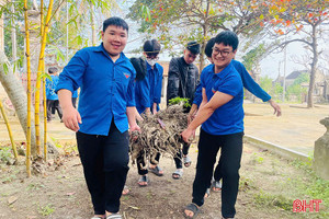 Tuổi trẻ Hà Tĩnh hưởng ứng Ngày Chủ nhật xanh chào mừng Đại hội XIV của Đảng