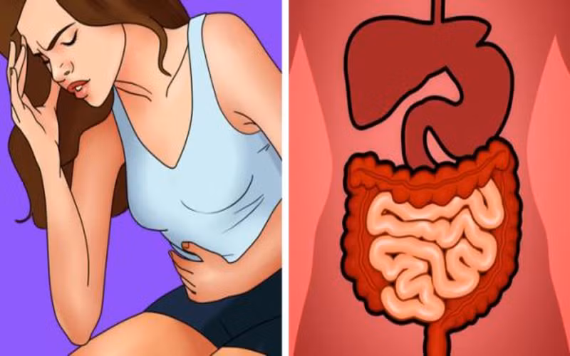 9 dấu hiệu cho thấy cơ thể bạn đang chứa nhiều độc tố