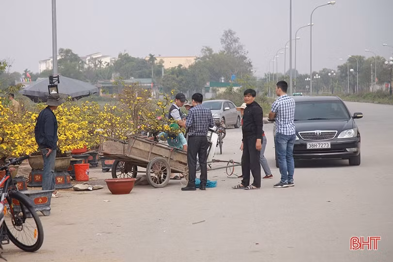 Kiếm tiền triệu từ nghề “mỗi năm chỉ có một lần” ở Hà Tĩnh