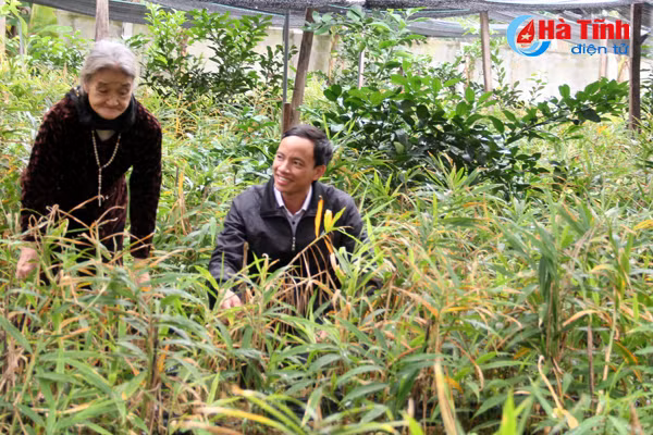 trong gung lien ket nguoi dan co nguy co trang tay