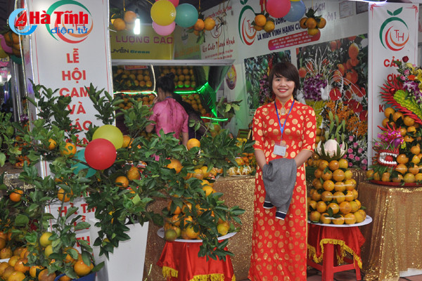 photo cam ha tinh thoi mien nguoi xem truoc gio khai hoi