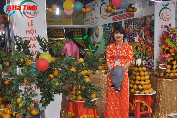 photo cam ha tinh thoi mien nguoi xem truoc gio khai hoi